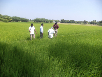 Poverty reduction through sustainable agriculture in Southern India ...