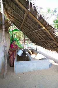 A woman watering the vermicompost pit at her backyard. Vermicompost serves as a good organic manure