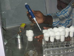 Liquid culture being Innoculated using micropipette