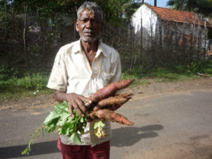 Conservation of traditional vegetables