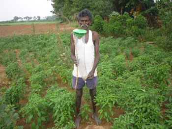 Farmer setting a pheromone trap in his field