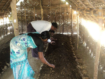 Vermicompost production unit of a beneficiary